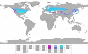 Onde está localizado geograficamente o clima continental temperado?