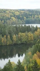 O que é a floresta finlandesa